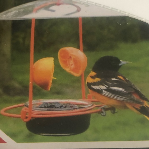 Meijer Bird Oriole Bird Feeder Multiple Feeding Options Fruits